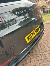 Load image into Gallery viewer, 4D Gel Plates